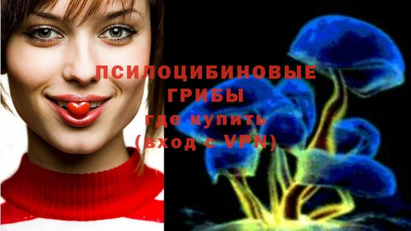 спиды Белоозёрский