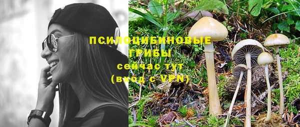 кокаин премиум Белокуриха