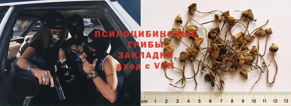 spice Беломорск