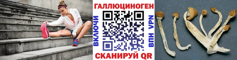 купить закладку  Покровск  Галлюциногенные грибы Psilocybine cubensis 