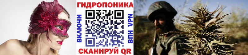 купить наркотики сайты  Покровск  Бошки Шишки OG Kush 